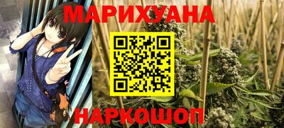 крисы Кингисепп