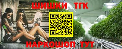 крисы Кингисепп