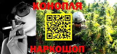 крисы Кингисепп