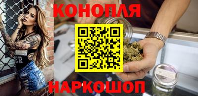 крисы Кингисепп