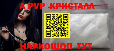 крисы Кингисепп