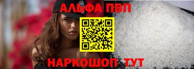 крисы Кингисепп