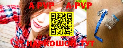 крисы Кингисепп
