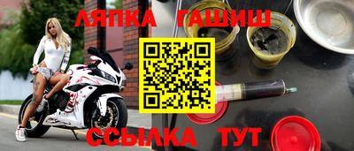 крисы Кингисепп