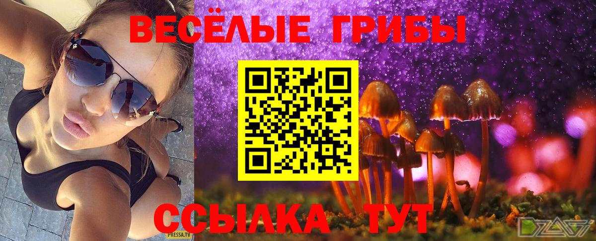 Азов  Псилоцибиновые грибы Psilocybe  Вход с VPN  Псилоцибиновые грибы Psilocybine cubensis 
