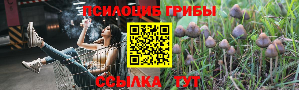 Галлюциногенные грибы прущие грибы Азов